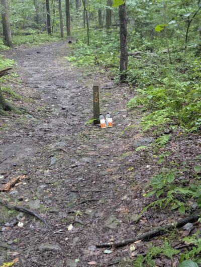 Laurel Ridge State Park - Rockwood, PA