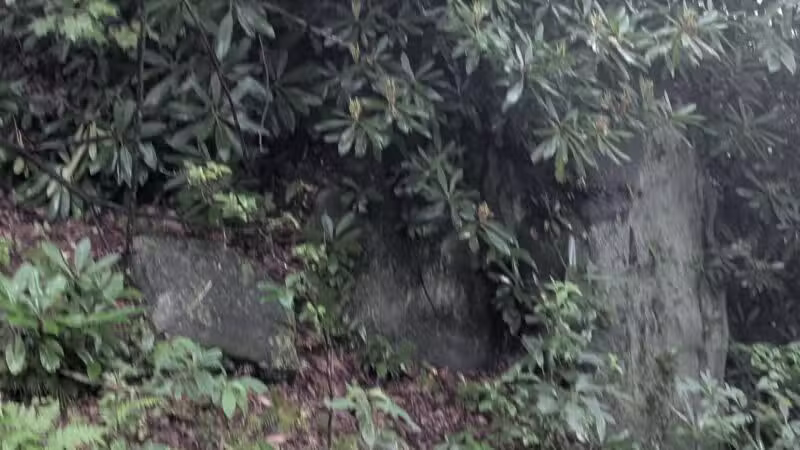 Laurel Ridge State Park - Rockwood, PA
