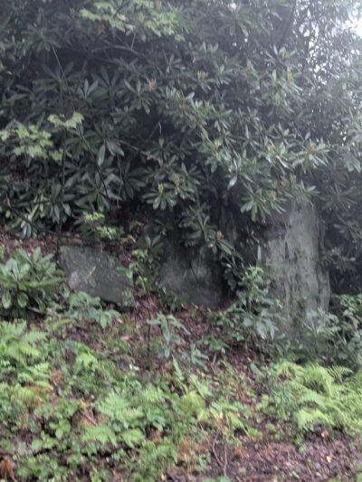 Laurel Ridge State Park - Rockwood, PA