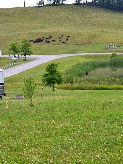 Hickory Hollow Campground - Rockwood, PA