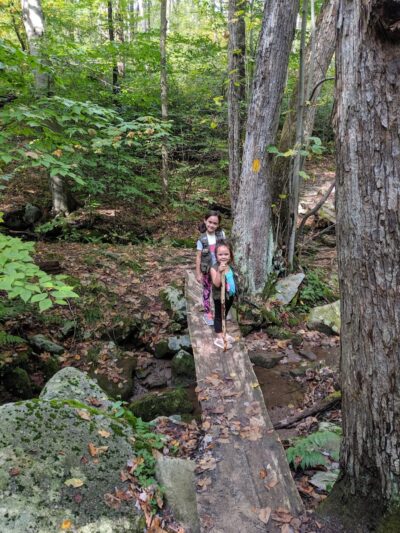 Laurel Ridge State Park - Rockwood, PA