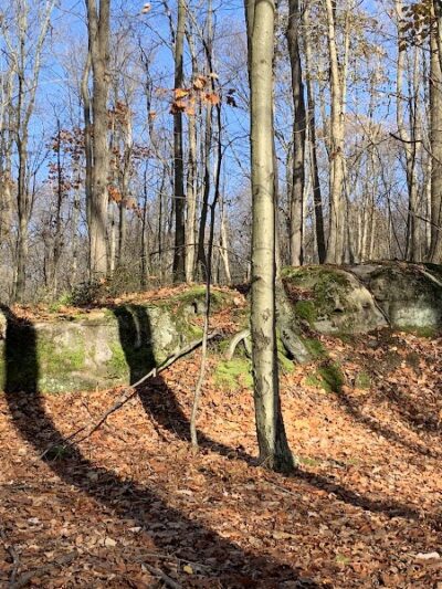 Laurel Ridge State Park - Rockwood, PA