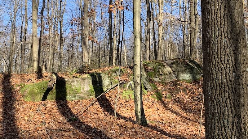Laurel Ridge State Park - Rockwood, PA