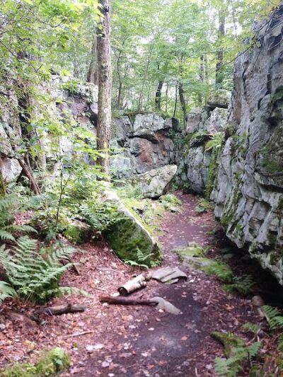 Laurel Ridge State Park - Rockwood, PA