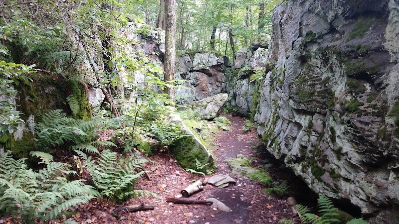 Laurel Ridge State Park - Rockwood, PA