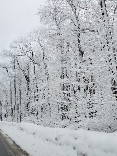 Laurel Ridge State Park - Rockwood, PA