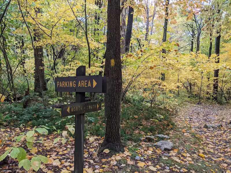 Laurel Ridge State Park - Rockwood, PA