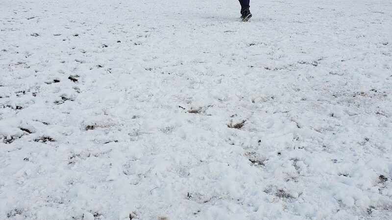 Rocky Hill Dog Park - Rocky Hill, CT