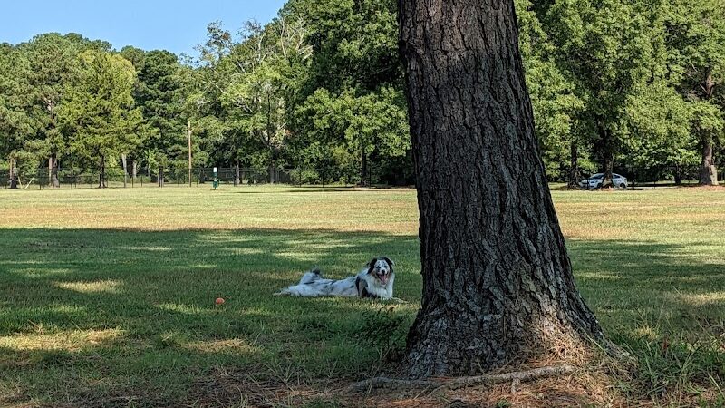 Best Friend's Dog Park - Rocky Mount, NC