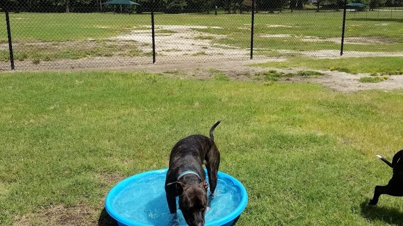 Best Friend's Dog Park - Rocky Mount, NC