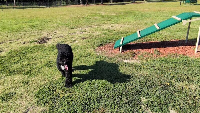 Best Friend's Dog Park - Rocky Mount, NC