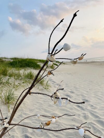 Salvo Day Area Outer Banks - Rodanthe, NC