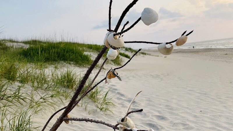 Salvo Day Area Outer Banks - Rodanthe, NC