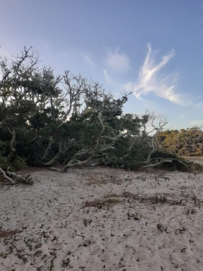 Salvo Day Area Outer Banks - Rodanthe, NC