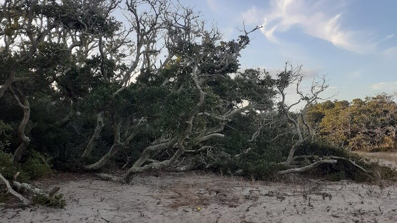 Salvo Day Area Outer Banks - Rodanthe, NC