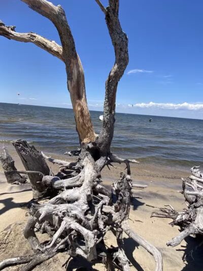 Salvo Day Area Outer Banks - Rodanthe, NC