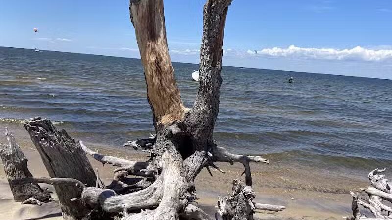 Salvo Day Area Outer Banks - Rodanthe, NC
