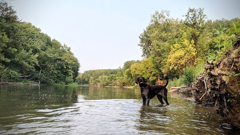 Crow Hassan Dog Park - Rogers, MN