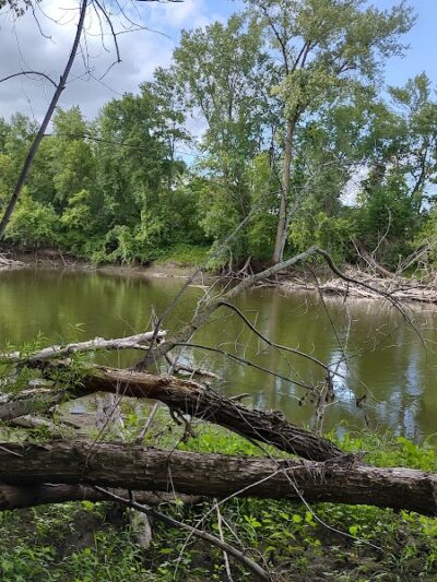 Crow Hassan Dog Park - Rogers, MN