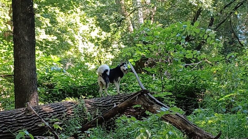 Crow Hassan Dog Park - Rogers, MN