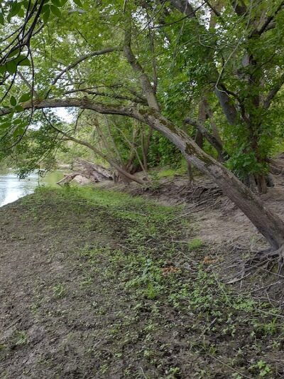 Crow Hassan Dog Park - Rogers, MN