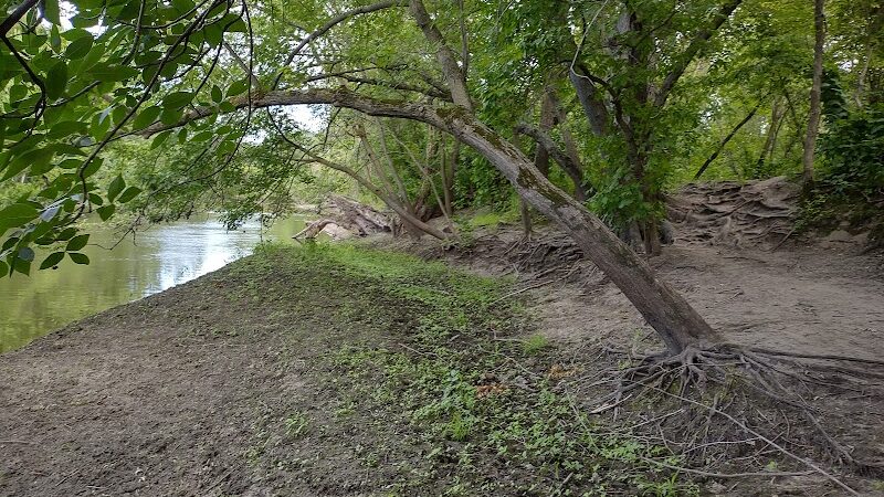 Crow Hassan Dog Park - Rogers, MN