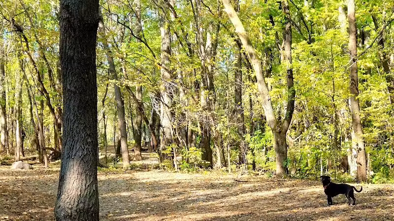 Crow Hassan Dog Park - Rogers, MN