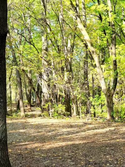 Crow Hassan Dog Park - Rogers, MN