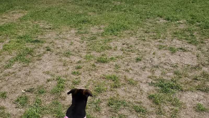 Rolla Dog Park - Rolla, MO