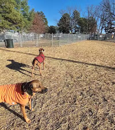 Rolla Dog Park - Rolla, MO