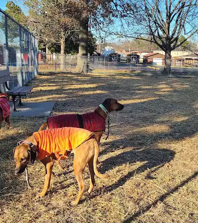 Rolla Dog Park - Rolla, MO