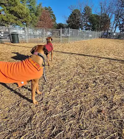 Rolla Dog Park - Rolla, MO