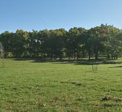 Chatfield Garden - Roselle, NJ