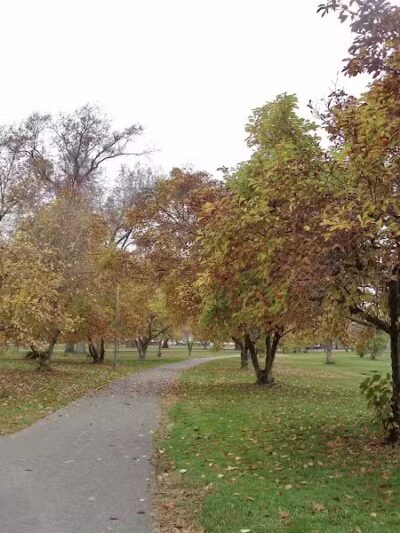 Chatfield Garden - Roselle, NJ