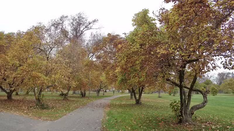 Chatfield Garden - Roselle, NJ