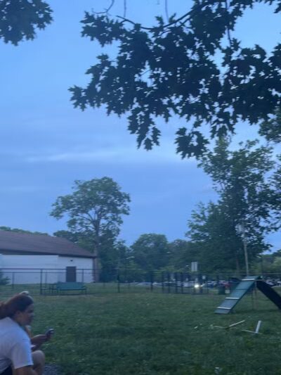 Dog Park - Roselle, NJ