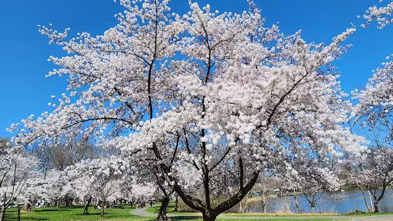 Warinanco Park - Roselle, NJ