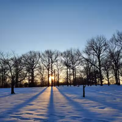 Warinanco Park - Roselle, NJ