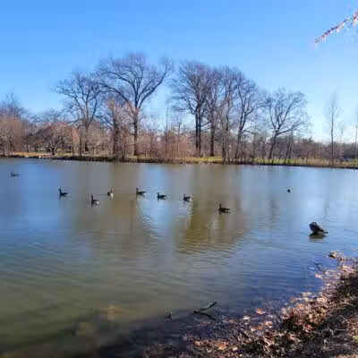 Warinanco Park - Roselle, NJ