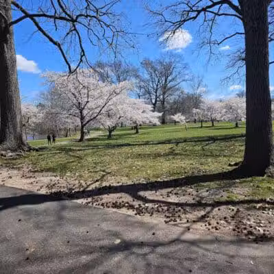 Warinanco Park - Roselle, NJ
