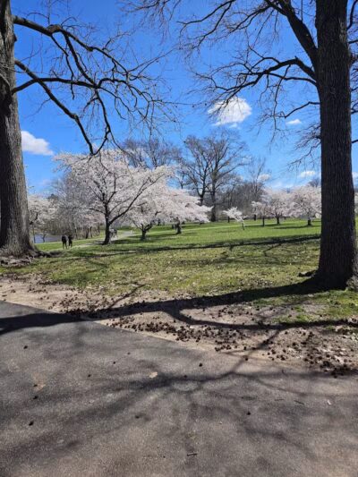 Warinanco Park - Roselle, NJ