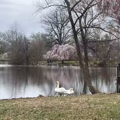 Warinanco Park - Roselle, NJ