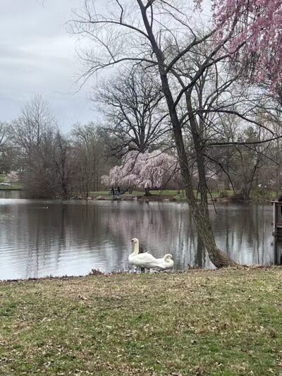 Warinanco Park - Roselle, NJ