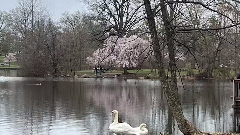 Warinanco Park - Roselle, NJ