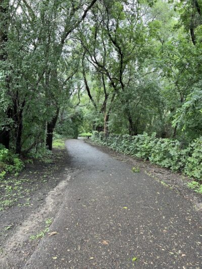Woodview Off-Leash Dog Area - Roseville, MN