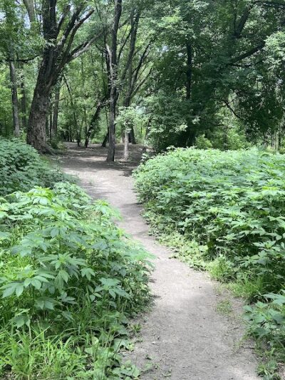 Woodview Off-Leash Dog Area - Roseville, MN