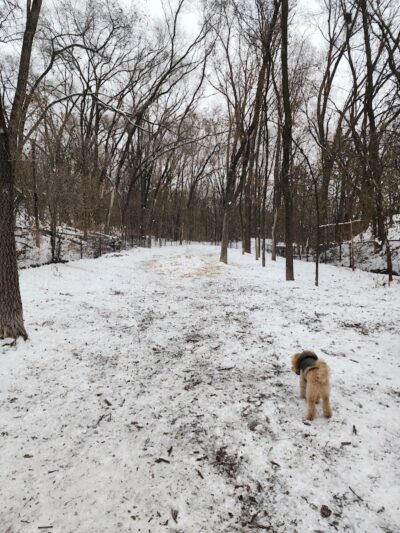 Woodview Off-Leash Dog Area - Roseville, MN