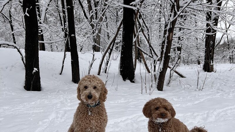 Woodview Off-Leash Dog Area - Roseville, MN