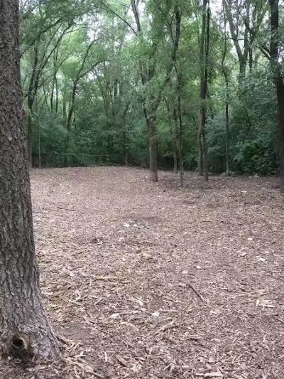 Woodview Off-Leash Dog Area - Roseville, MN