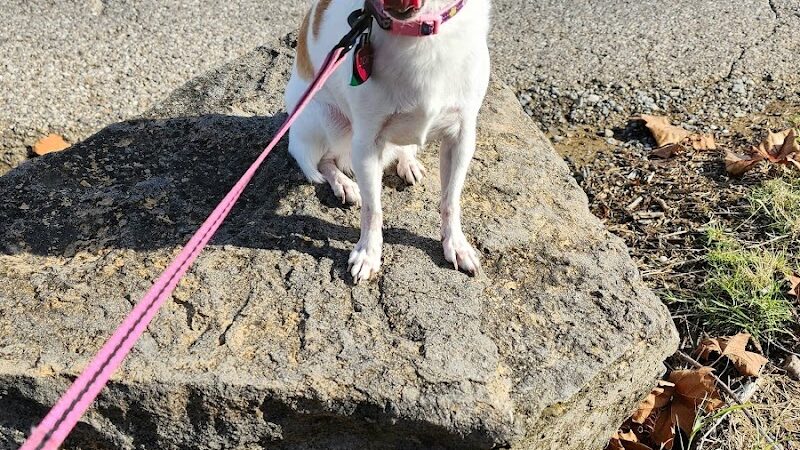 Rosiclare Park - Rosiclare, IL